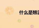 什么是翘舌音（你知道吗）