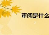 审阅是什么意思（审阅解释）