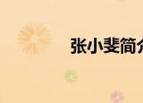 张小斐简介（张小斐介绍）