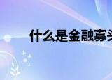 什么是金融寡头（金融寡头是什么）