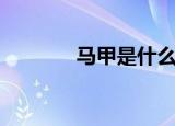 马甲是什么梗（马甲的意思）