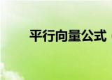 平行向量公式（平行向量公式简述）