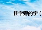 隹字旁的字（隹字旁的字有哪些）