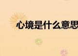 心境是什么意思（词语心境什么意思）