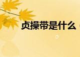 贞操带是什么（简介贞操带是什么）