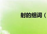 射的组词（射的组词有哪些）
