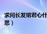 求问长发绾君心什么意思（长发绾君心什么意思）