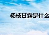 杨枝甘露是什么意思（杨枝甘露解释）