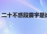 二十不惑段震宇是谁（段振宇的扮演者是谁）
