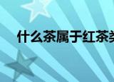 什么茶属于红茶类（常见的红茶有哪些）