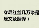穿尽红丝几万条是什么意思（穿尽红丝几万条原文及翻译）