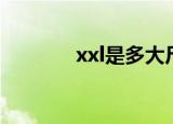 xxl是多大尺码（xxl是几码）