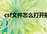 csf文件怎么打开播放（下面5个步骤帮你解决）