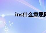 ins什么意思网络用语（ins解释）