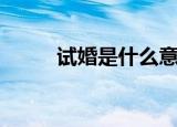 试婚是什么意思啊（试婚的意思）
