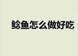 鲶鱼怎么做好吃（鲶鱼的简单好吃做法）