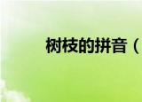 树枝的拼音（树枝的拼音及解释）