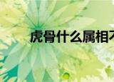 虎骨什么属相不能戴（虎骨的禁忌）