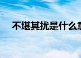 不堪其扰是什么意思（不堪其扰的解释）