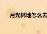 月光林地怎么去（月光林地路线介绍）