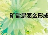 矿盐是怎么形成的（矿盐形成的方法）
