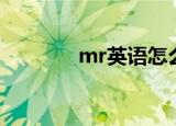 mr英语怎么读（mr的意思）