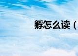 孵怎么读（孵的拼音及组词）