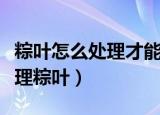 粽叶怎么处理才能包粽子（包粽子之前怎么处理粽叶）