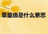 草量级是什么意思（简介草量级是什么意思）