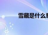 雪藏是什么意思（雪藏的含义）