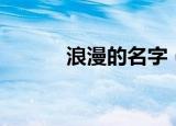 浪漫的名字（浪漫的名字精选）