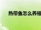 热带鱼怎么养殖（热带鱼的饲养方式）