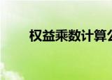 权益乘数计算公式（权益乘数简介）