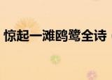 惊起一滩鸥鹭全诗（惊起一滩鸥鹭全诗译文）