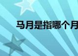 马月是指哪个月（马月是指什么时候）