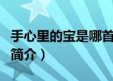 手心里的宝是哪首歌的歌词（手心里的宝歌曲简介）