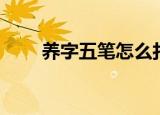 养字五笔怎么打（怎么打养字五笔）