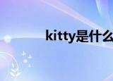 kitty是什么意思（kitty解释）