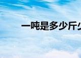 一吨是多少斤少公斤（一吨是多少）