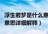 浮生若梦是什么意思详细解释（浮生若梦是啥意思详细解释）
