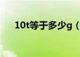 10t等于多少g（10t等于10000000g）