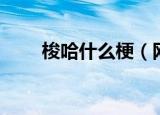 梭哈什么梗（网络语梭哈什么意思）
