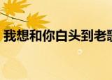 我想和你白头到老歌词（白头到老歌曲介绍）