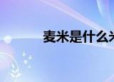 麦米是什么米（麦米简单介绍）
