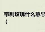 带刺玫瑰什么意思（带刺玫瑰说的是什么意思）