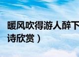 暖风吹得游人醉下一句是（暖风吹得游人醉原诗欣赏）