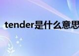 tender是什么意思中文（tender表示什么）