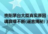 贵阳茅台大厦真实原因（贵阳茅台大厦闹鬼事件真相深夜冤魂哀嚎不断(谣言揭秘)）