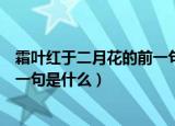 霜叶红于二月花的前一句是什么（诗句霜叶红于二月花的前一句是什么）
