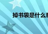 掉书袋是什么意思（掉书袋的解释）